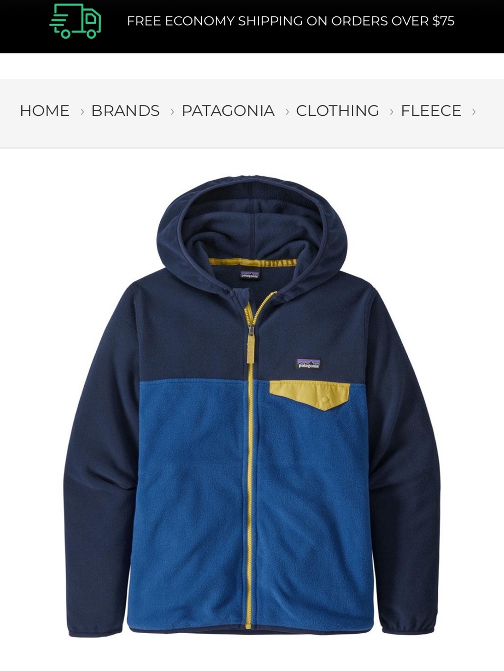 Boys Patagonia Micro Snap Fleece Jacket
